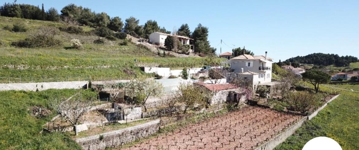 Farmhouse Volimes Bagian luar foto